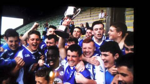 Skryne Minors Romp Home To Claim Division 2 Title