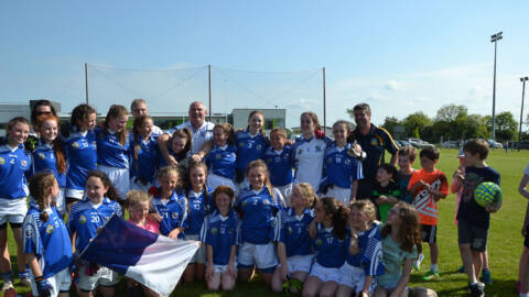 Skryne win the Div 2 Final after overcoming Walterstown in Dunshaughlin.