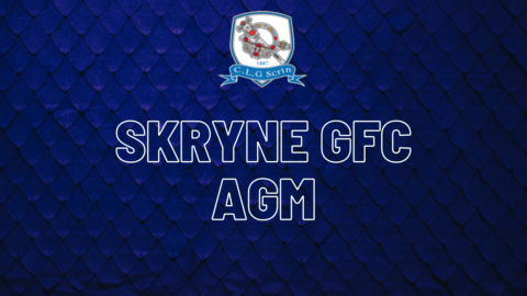 Skryne GFC Annual General Meeting – Elected Officers