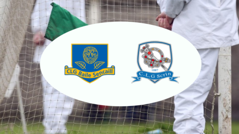 Reserve Cup, Division 1. Group B – Round 3. Seneschalstown 0-13 Skryne 1-09