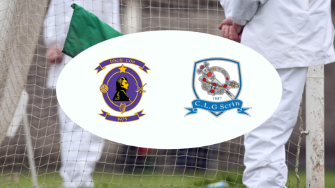 JMB Sportsfield Services Feis Cup, Group D – Round 3. Wolfe Tones 1-15 Skryne 1-07