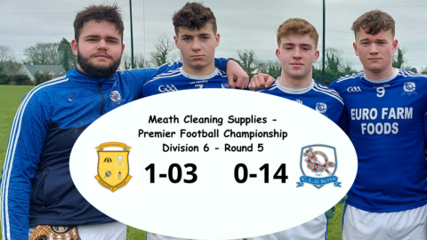 Meath Cleaning Supplies – Premier Football Championship Division 6 – Round 5. Dunshaughlin 1-03, Skryne 0-14