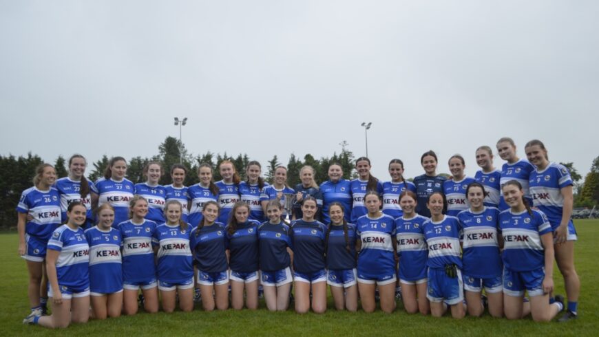 LGFA League Division 2 FINAL:  Skryne 0-16, St. Ultans 2-04