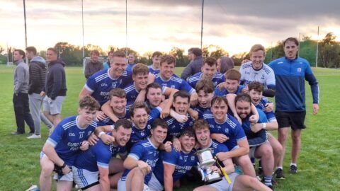 Tommy Dowd Oil A League Division 5 – Final. An Scrín 1-10, Naomh Peadar Dún Búinne 1-09