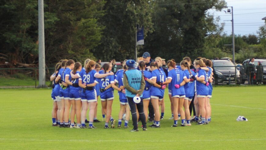 LGFA Intermediate Championship Round 3 :  Skryne 4-07, St. Ultans 2-11